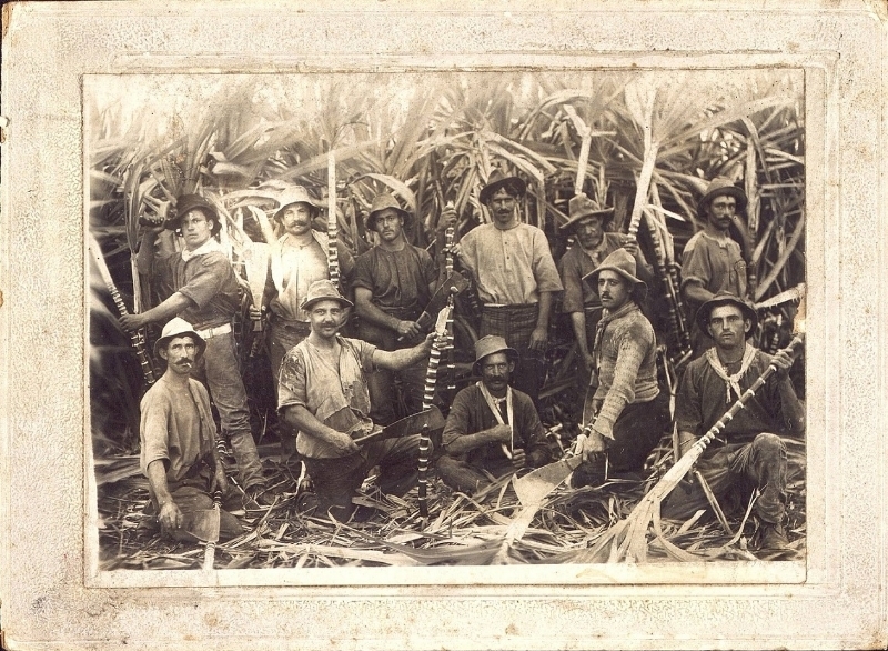 Cortadores de caña en Cuba - Museo del Ejército